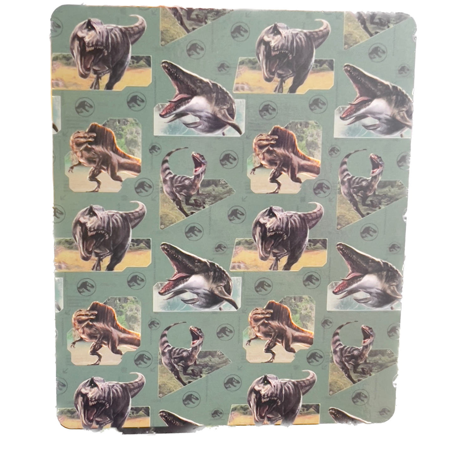 Jurassic Park Pillow And Blankets -Jurassic World Blazing Fury