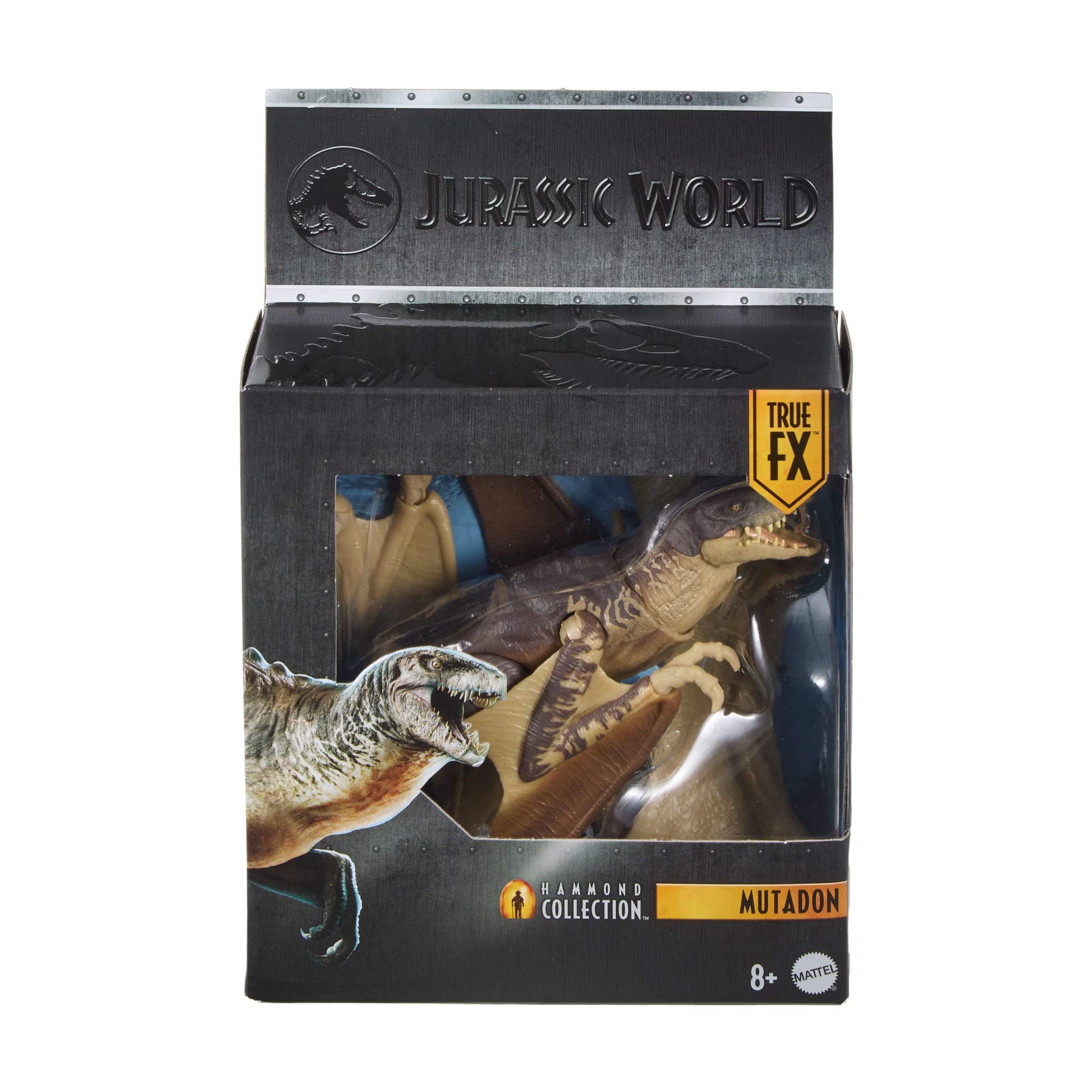 Jurassic World Mutadon toy figure in its original black and gray display box packaging, featuring a clear window showing the articulated dinosaur figure inside.