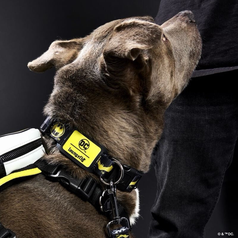 Dog wearing a harness with a visible brand logo on a dark background