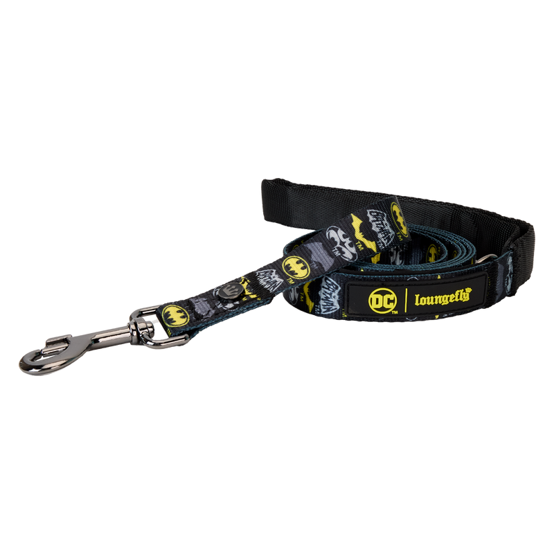 Dog leash with DC Comics logo on a white background