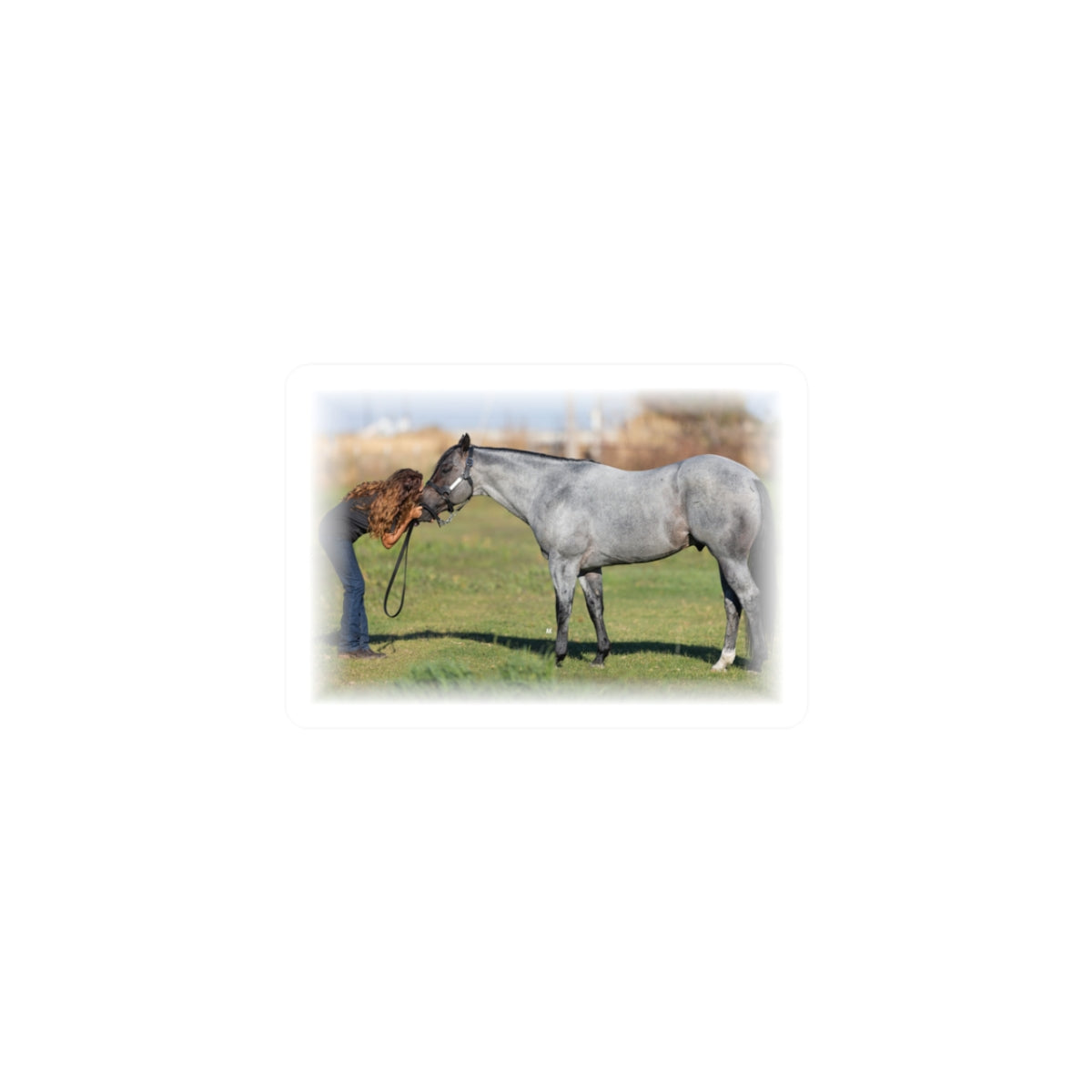 Amazing Grace Ranch | AGR Clark Kent | Kiss-Cut Sticker
