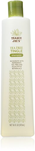 Trader Joe's Tea Tree Tingle shampoo bottle on a white background
