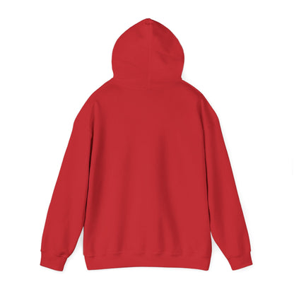 250 Years of Freedom Hoodie | America 250th Anniversary | Patriotic Sweatshirt | Choose Color