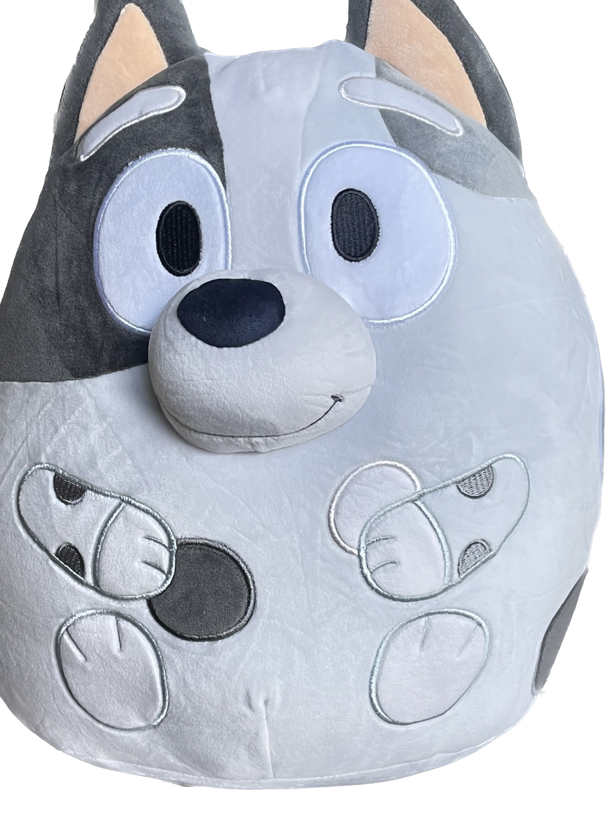 Squishmallows | Bluey Muffin Plush 12"
