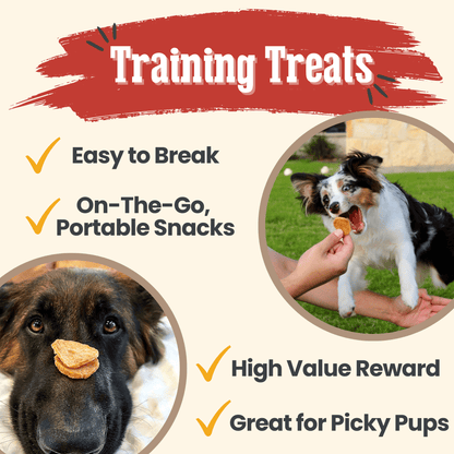 Chicken Chips for Dogs | All-Natural Single-Ingredient Dog Treats | Farm To Pet