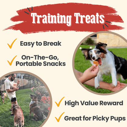 Chicken Chips for Dogs | All-Natural Single-Ingredient Dog Treats | Farm To Pet