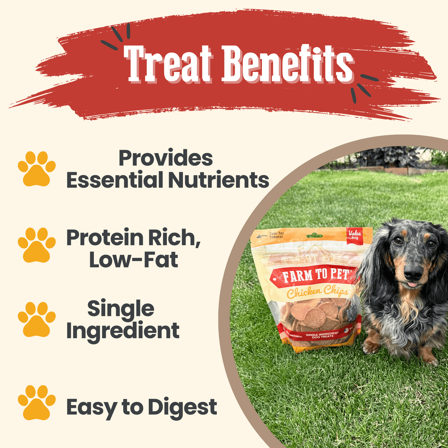 Chicken Chips for Dogs | All-Natural Single-Ingredient Dog Treats | Farm To Pet
