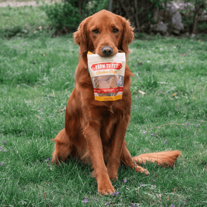 Chicken Chips for Dogs | All-Natural Single-Ingredient Dog Treats | Farm To Pet