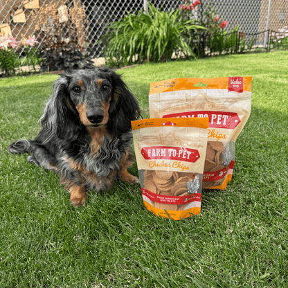 Chicken Chips for Dogs | All-Natural Single-Ingredient Dog Treats | Farm To Pet
