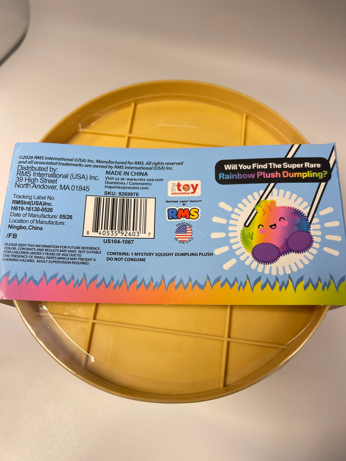 A toy package for a 'Rainbow Plush Dumpling' by Stoy and RAS International, resting on a yellow plastic surface. The box features a colorful illustration of a rainbow plush dumpling and displays the Stoy and RAS logos.