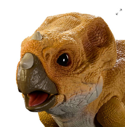 Mattel | Jurassic World Hammond Collection | Aquilops Figure