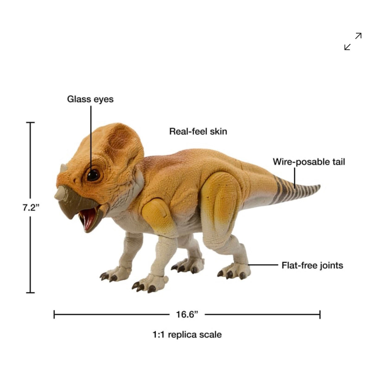 Mattel | Jurassic World Hammond Collection | Aquilops Figure
