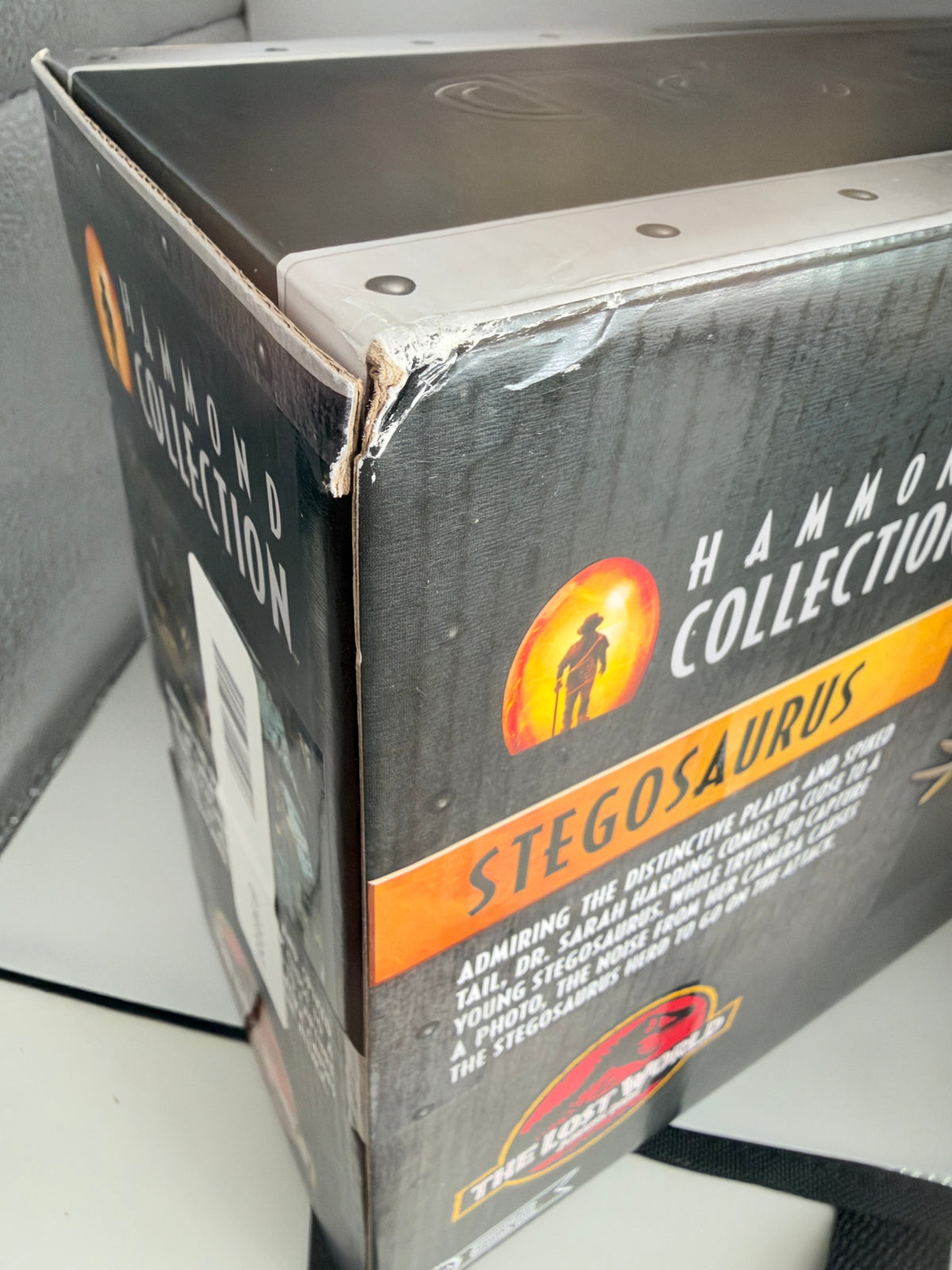 A close-up of a boxed collectible item labeled 'Hammerhead Collection Stegosaurus' with a black box, orange and yellow graphics, and visible wear at the top edge.