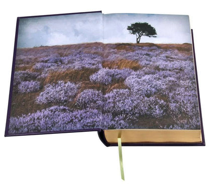 Book with a landscape of a tree on a hill and purple flowers on a white background