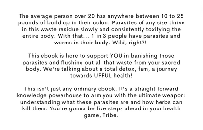Parasite Slayer - Parasite Detox