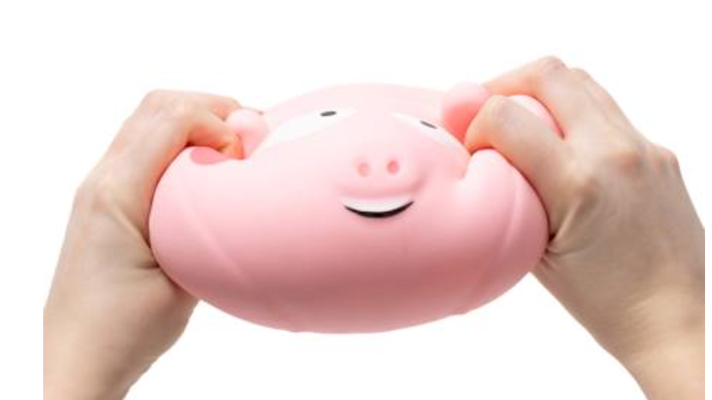 Crazy Fun Smushworld Chubby Pig Squishy Toy