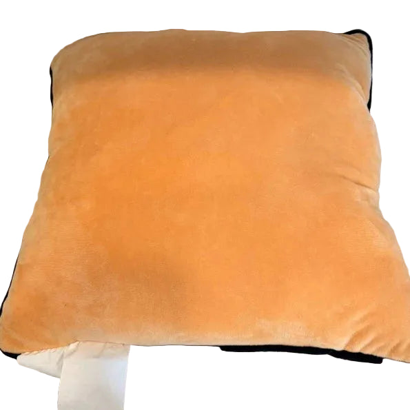 Disney | Halloween | Pumpkin Throw Pillow | 2026
